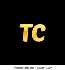 Tech Company Inc